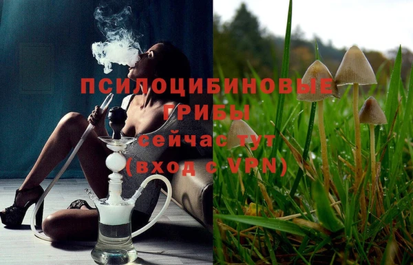 2c-b Кулебаки