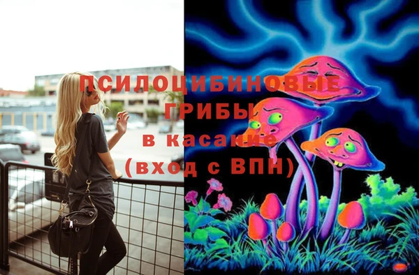 2c-b Кулебаки