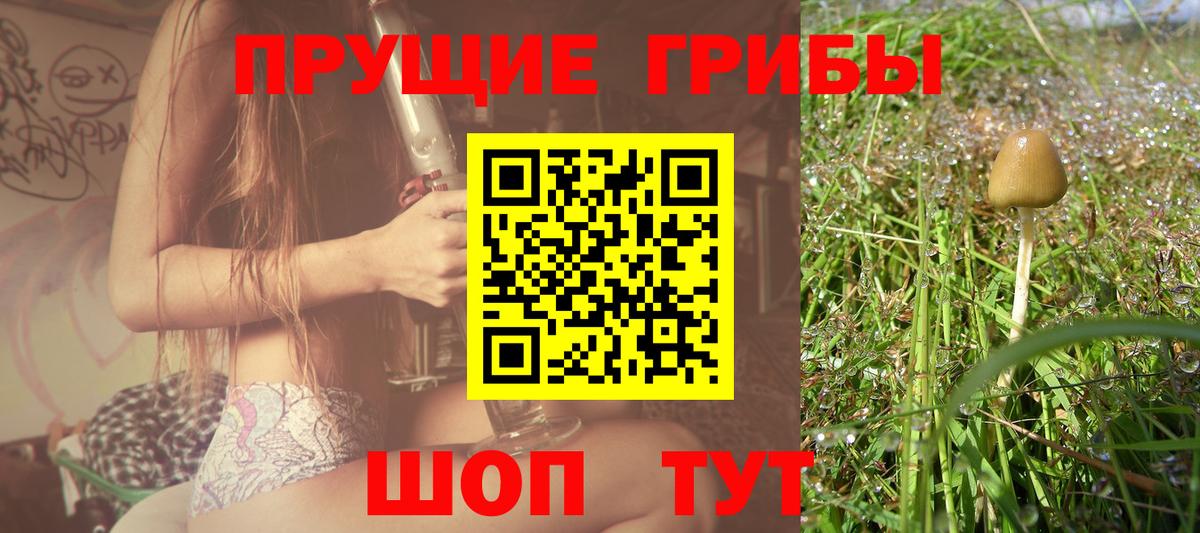 Псилоцибиновые грибы мицелий Янаул