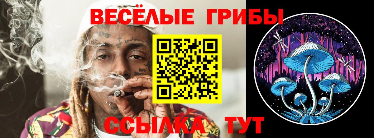 Галлюциногенные грибы Psilocybine cubensis  Вход с VPN  Янаул 